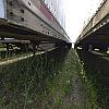 wht Trailmobile Van