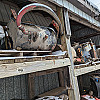 Hydraulic Tanks