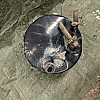 International Coolant Tank