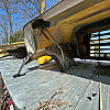 Ford F750 Hood