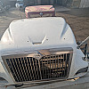 International Eagle Hood