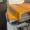 International TerraStar Hood