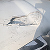 Kenworth T2000 Hood