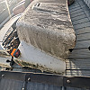 Ford L9000 Hood