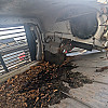 Ford L9000 Hood